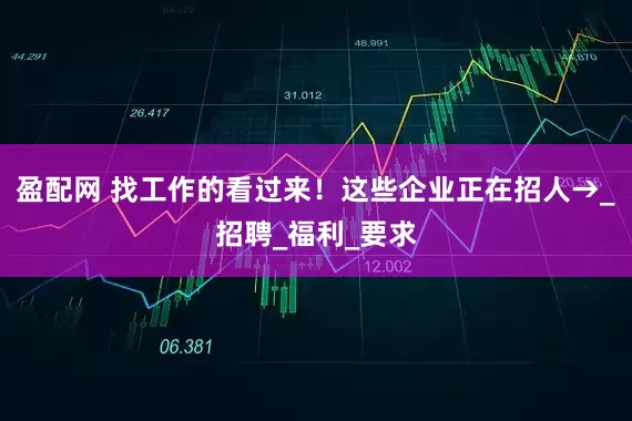 盈配网 找工作的看过来！这些企业正在招人→_招聘_福利_要求