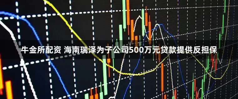 牛金所配资 海南瑞泽为子公司500万元贷款提供反担保