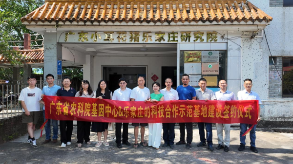 盈远期策略 “看得见、用得上”！技术人才双下沉，广东激活地方猪育种新动能